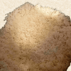 Best White Rice in Fairview, NJ